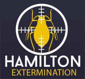 hamilton_extermination.jpg