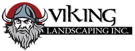 vikingLogo_grey300.png