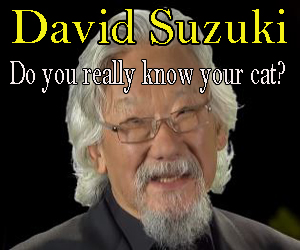 David-Suzuki_The_Secret_Life_of_Cats.jpg