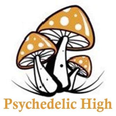 Psychedelic_High.jpg
